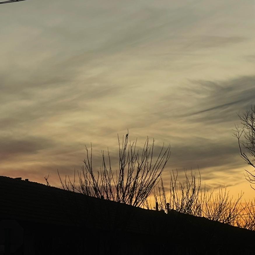 胖苳来好物分享