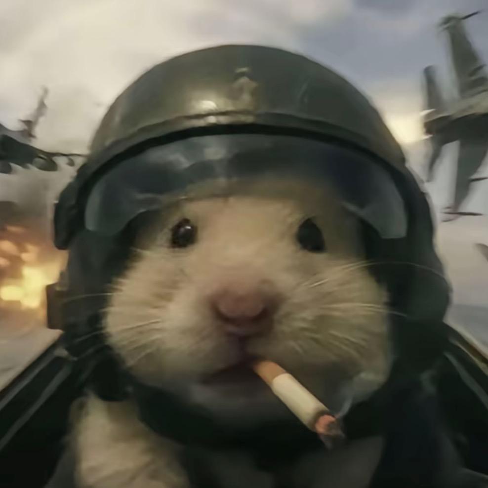 抓只羊（三角洲行动）