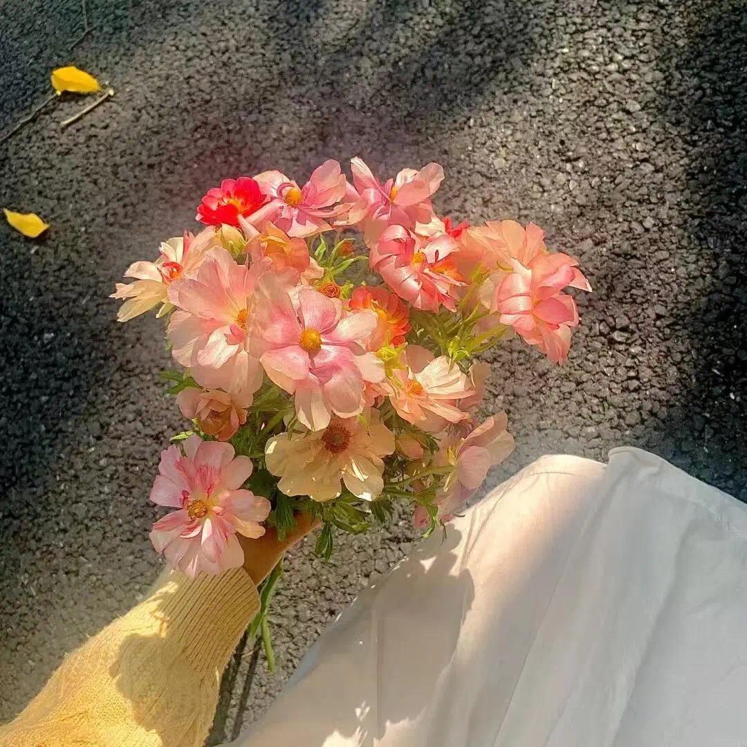馨馨儿