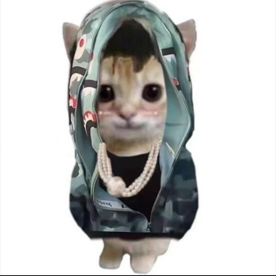 泡泡（二手网约车）