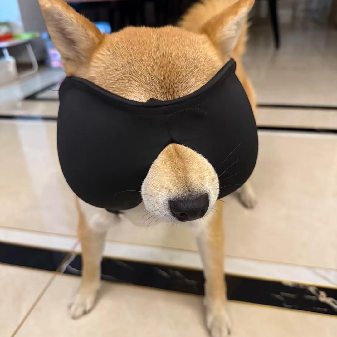 小庸