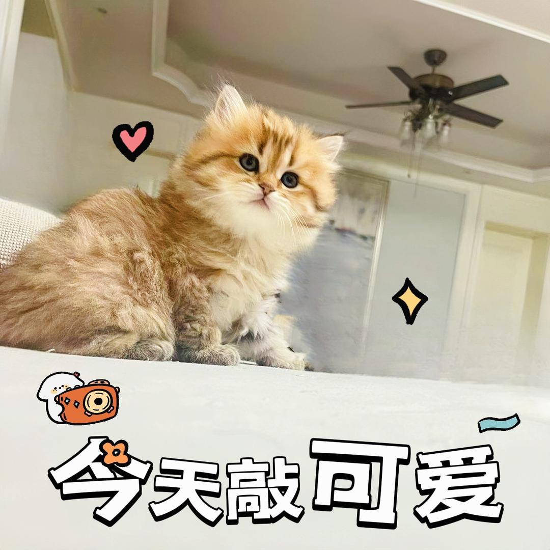 满心欢喜～