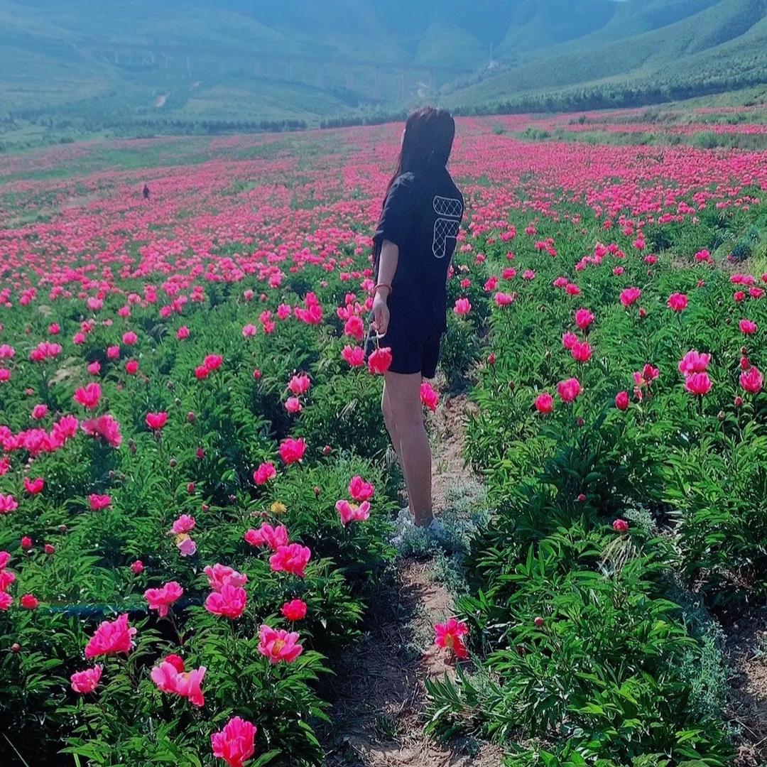 晚风心里吹