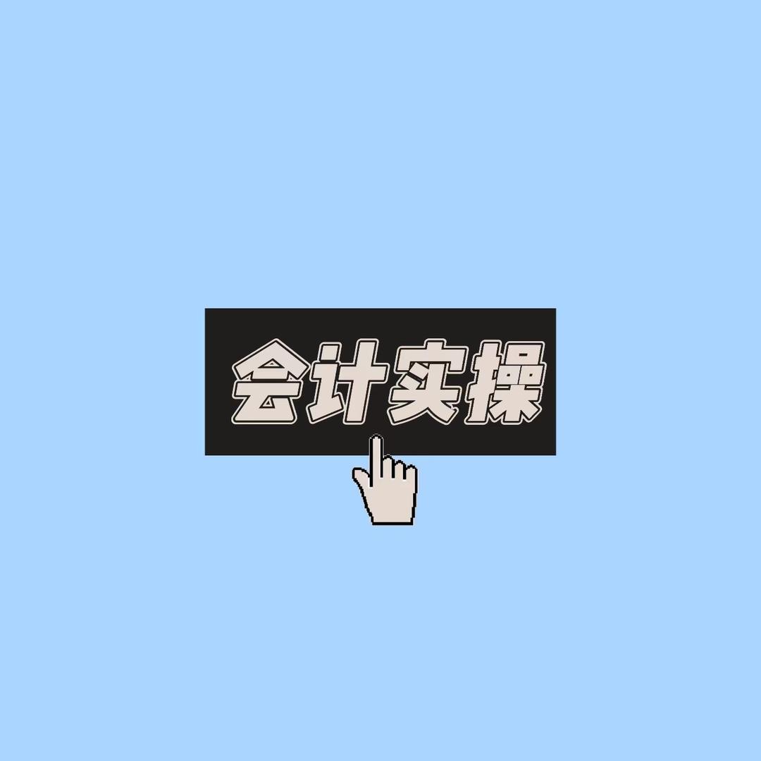 会计实操娜娜