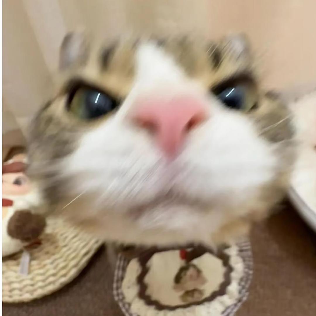 东北在逃烤冷面