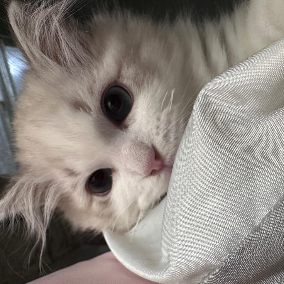 少管我