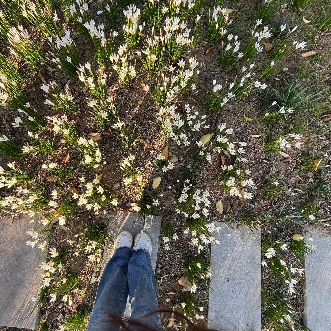 菜根记