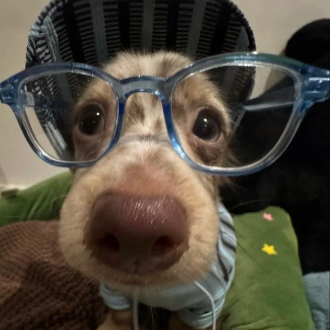 还玩呢！真怕自己考上啊？