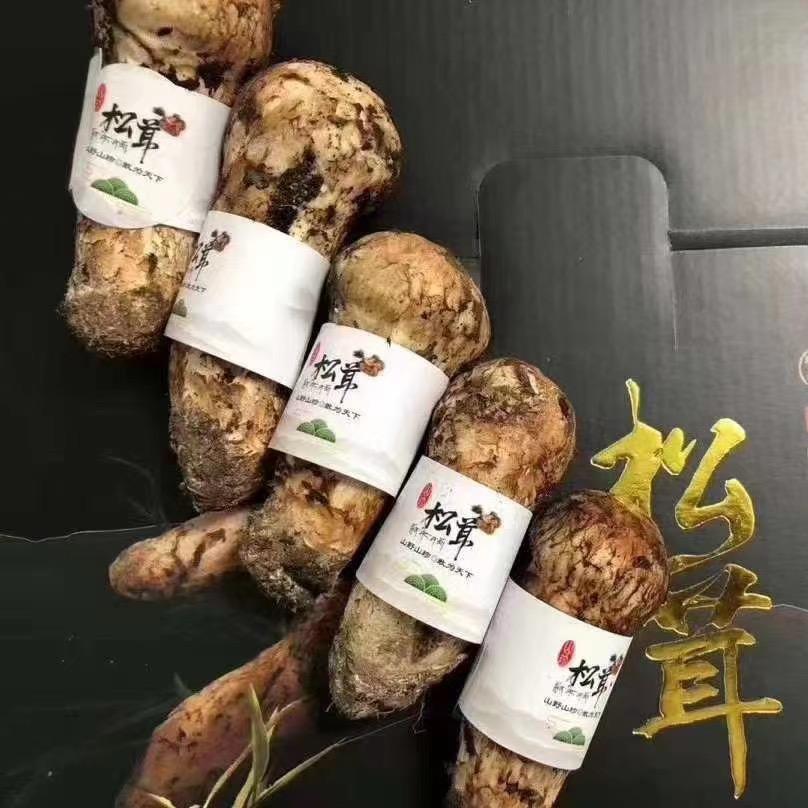 山货王野生菌特产松茸季