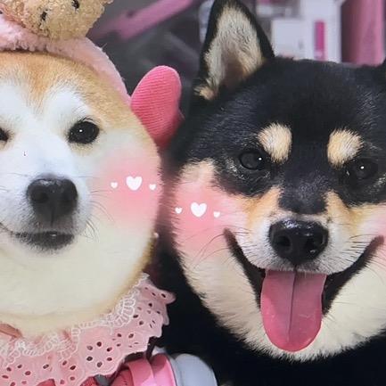 探探小L