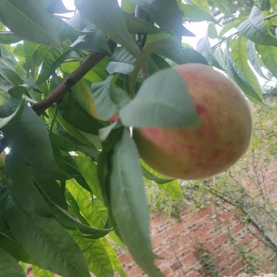 遗҉҉҈憾҉҉҈，