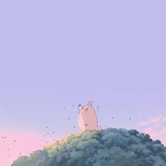 大脸猫好物分享