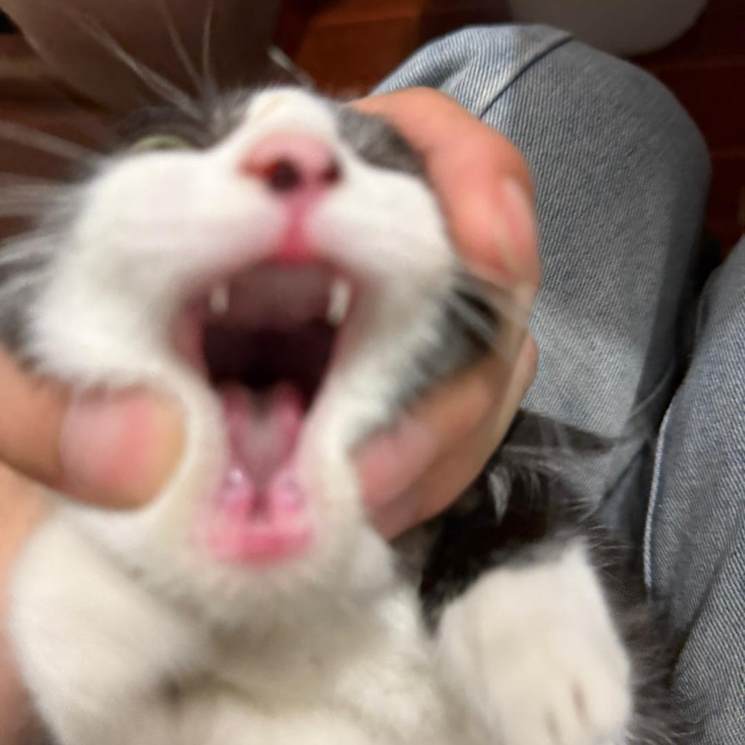 happy