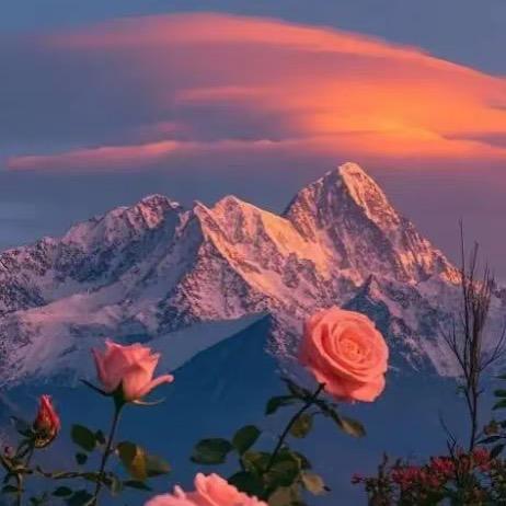 请叫我北北……