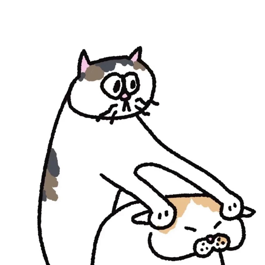 猫托车（pubg）