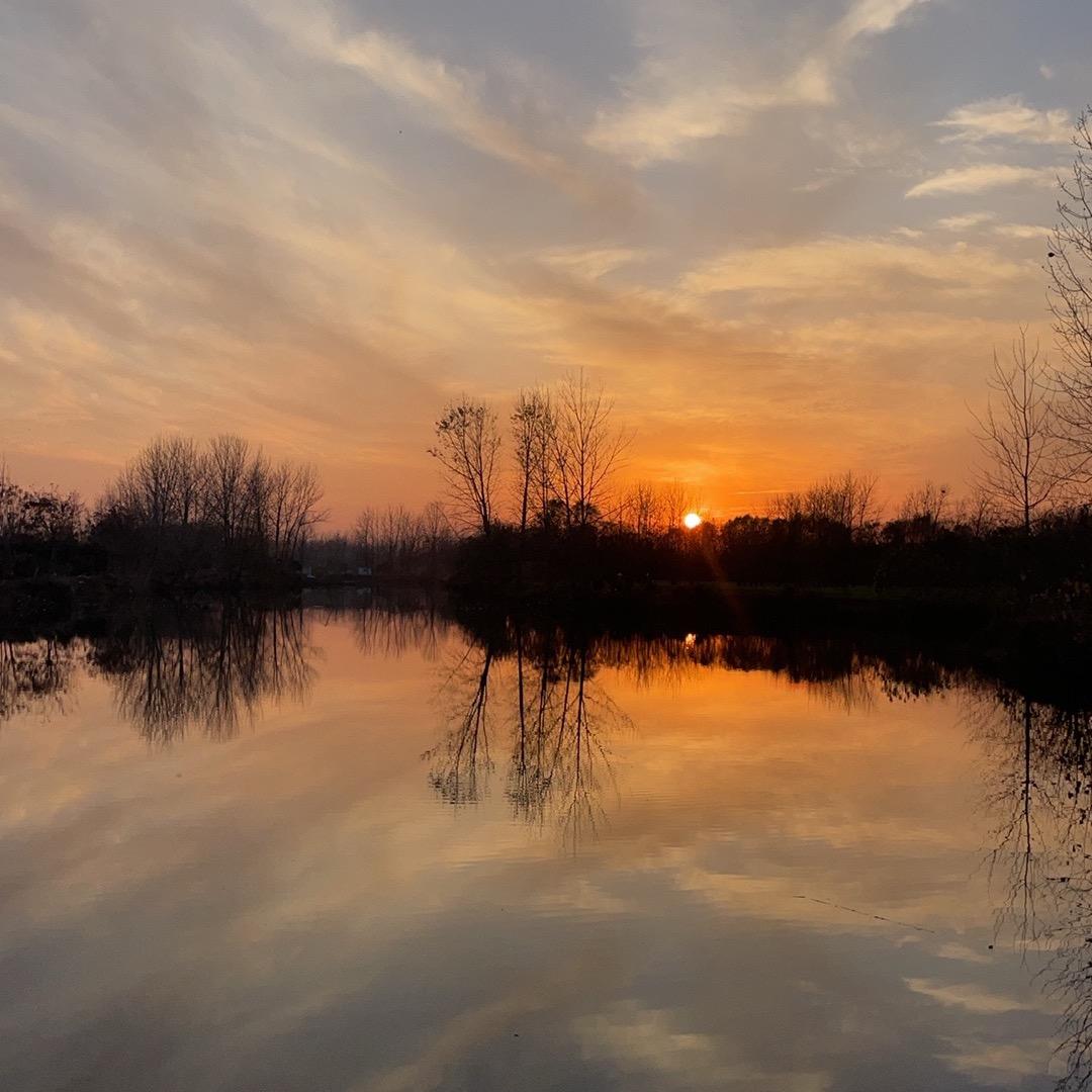 年年有鱼红虫店