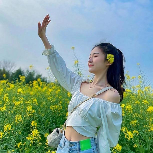 杏花小飞