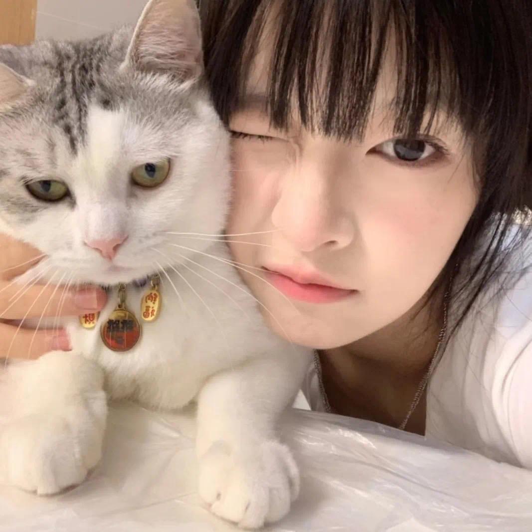 小甜甜. ౪ᩚ