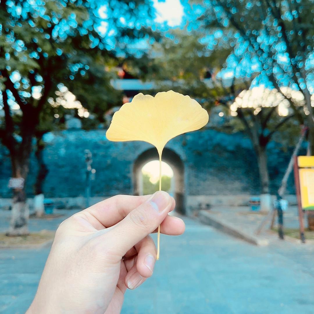 丽江云美宿雪山观景客栈丽江云美宿雪山观景客栈