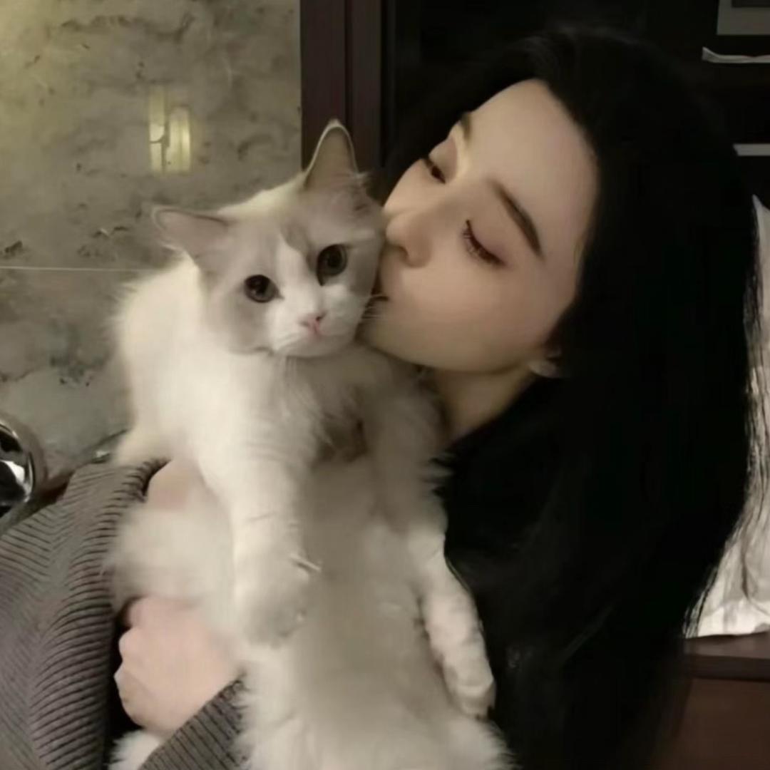冷冰冰