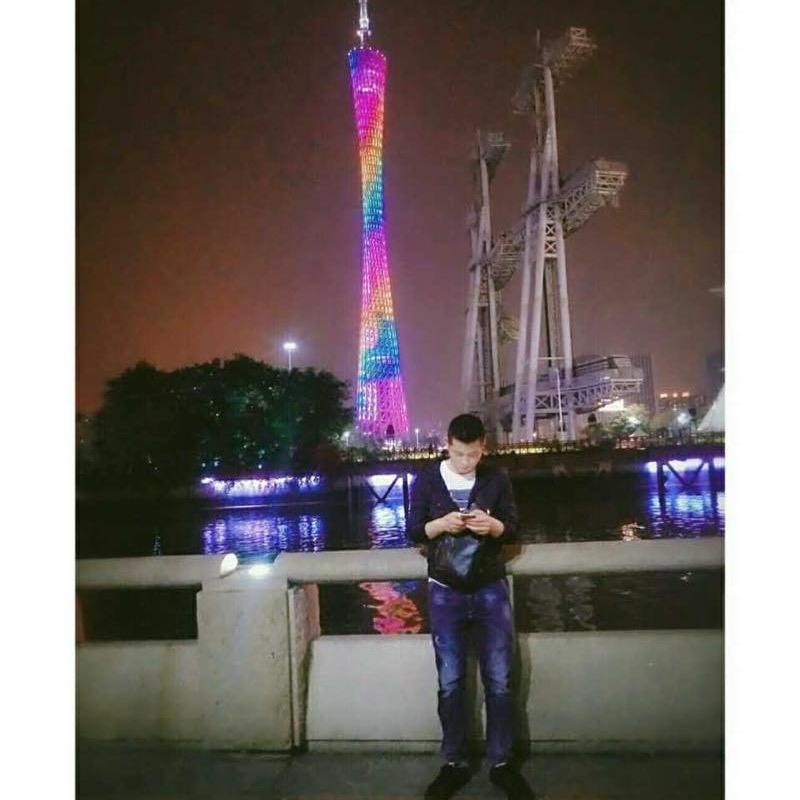 蚊子pet