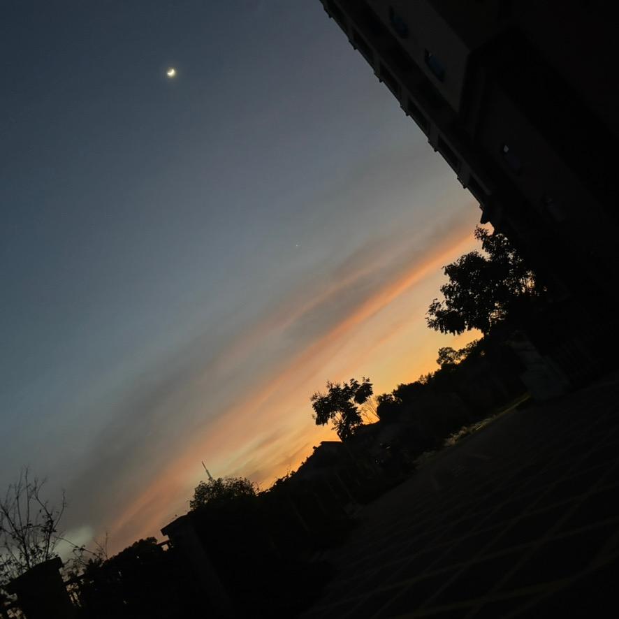 雾气（三角洲行动）