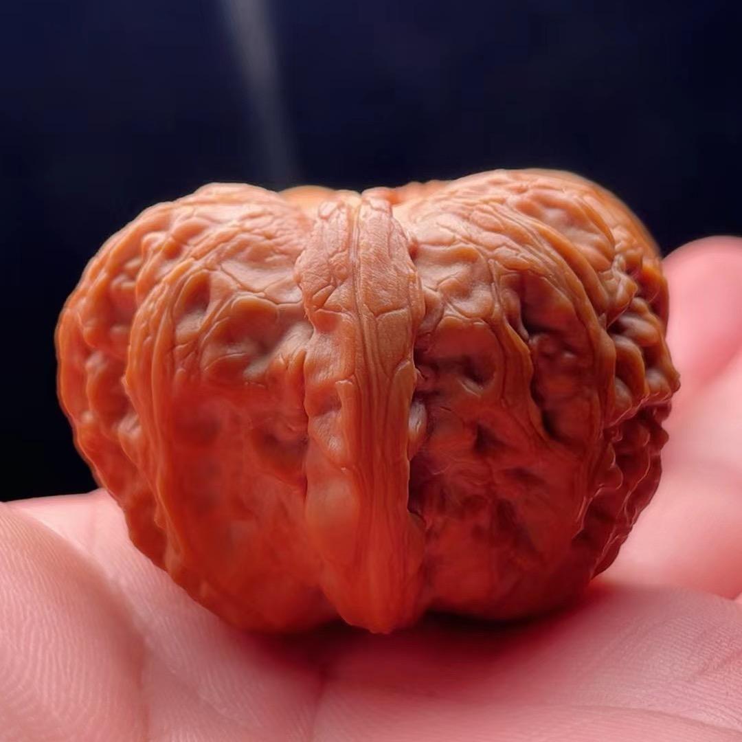 【山•宏】核桃