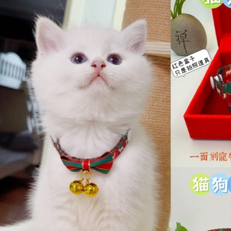 北极星宠物手工饰品