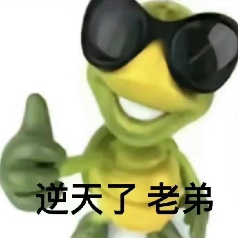 毕须毕