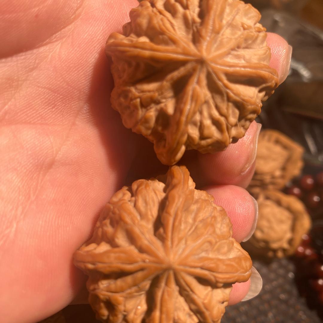 核桃大世界🌎）