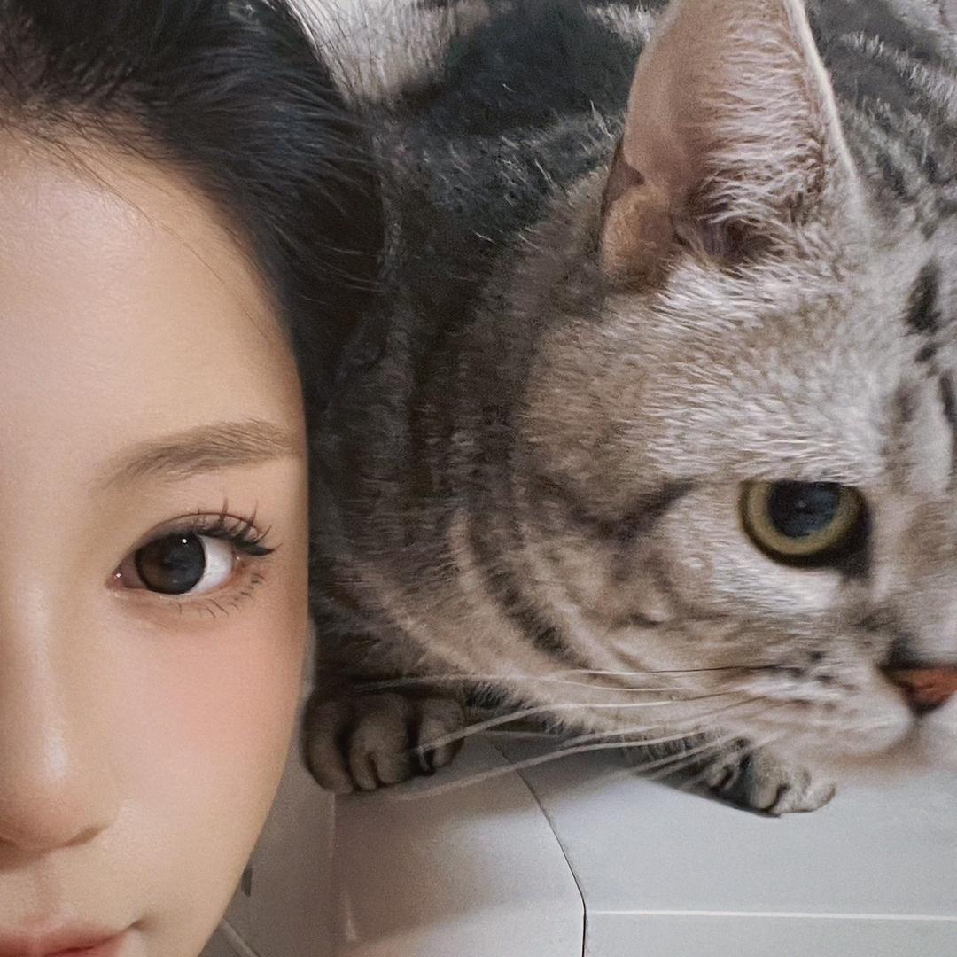 刀了个刀