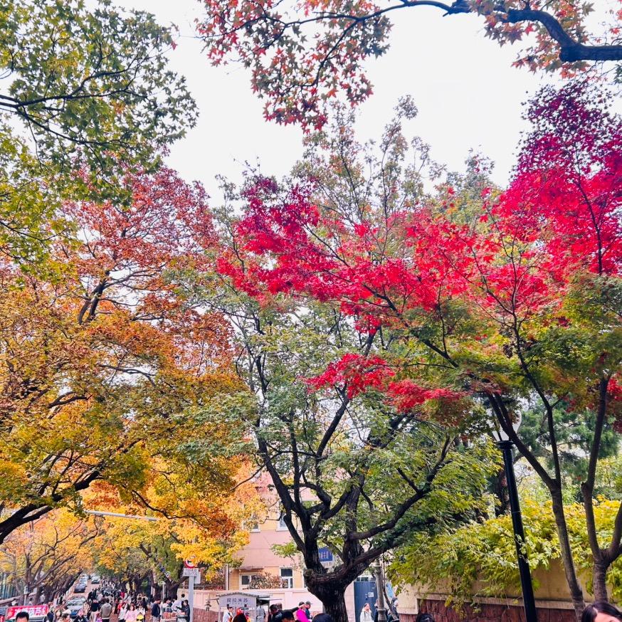 想要学塔罗的小湘