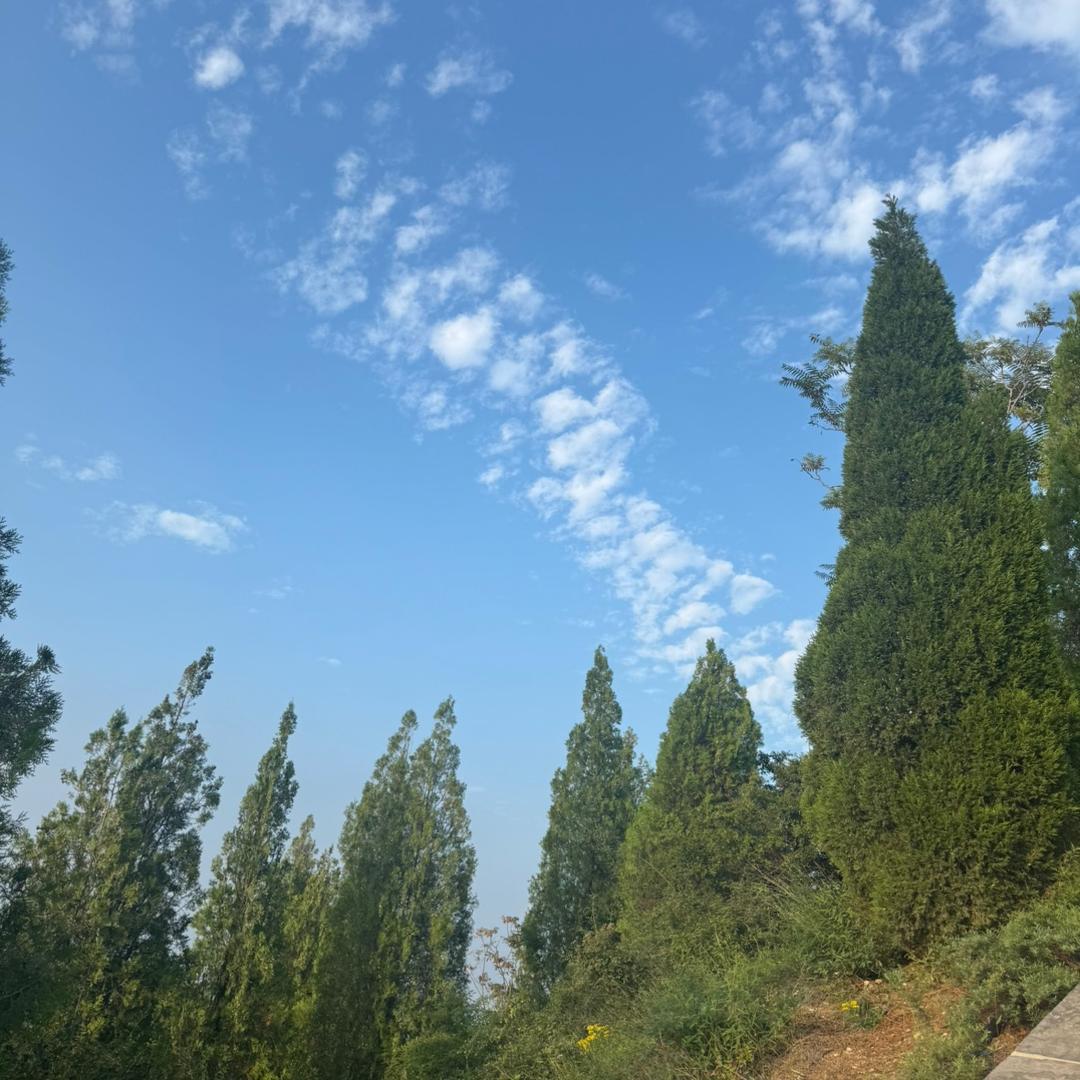 重启人生
