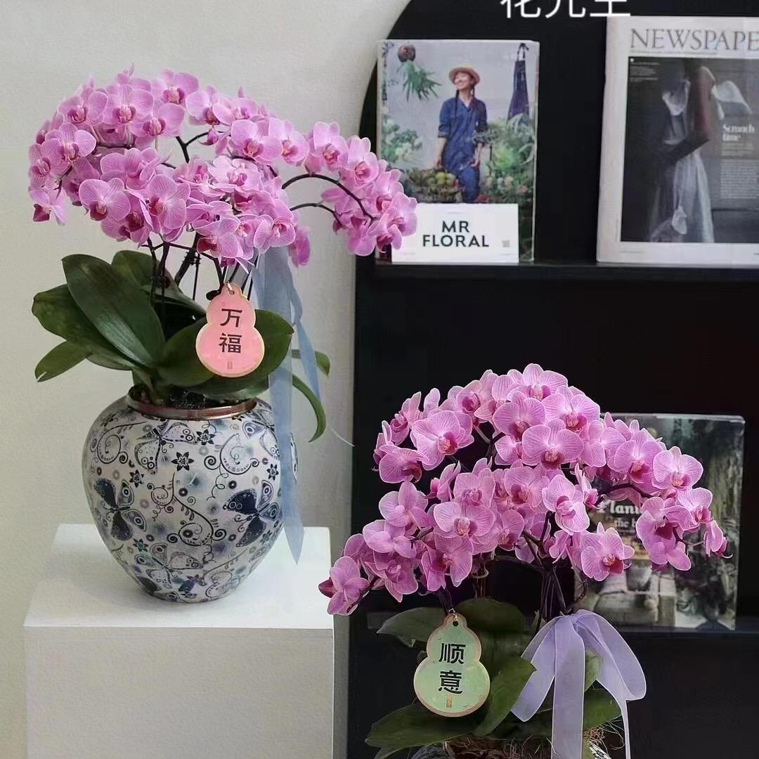 春夏秋冬景德镇陶瓷花瓶