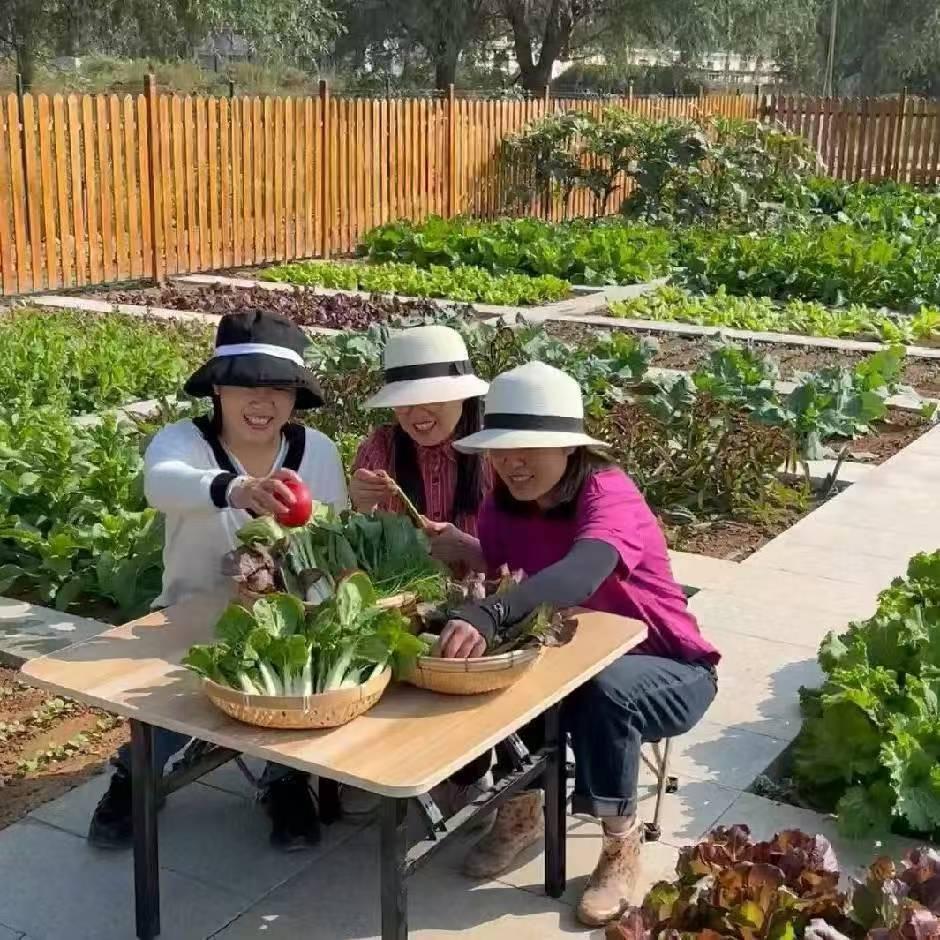 种菜姐妹