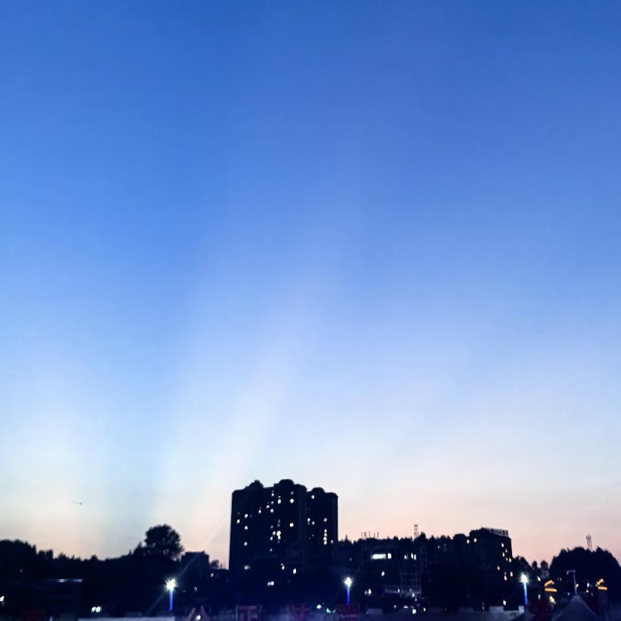 利福塔镇青龙村小香薯