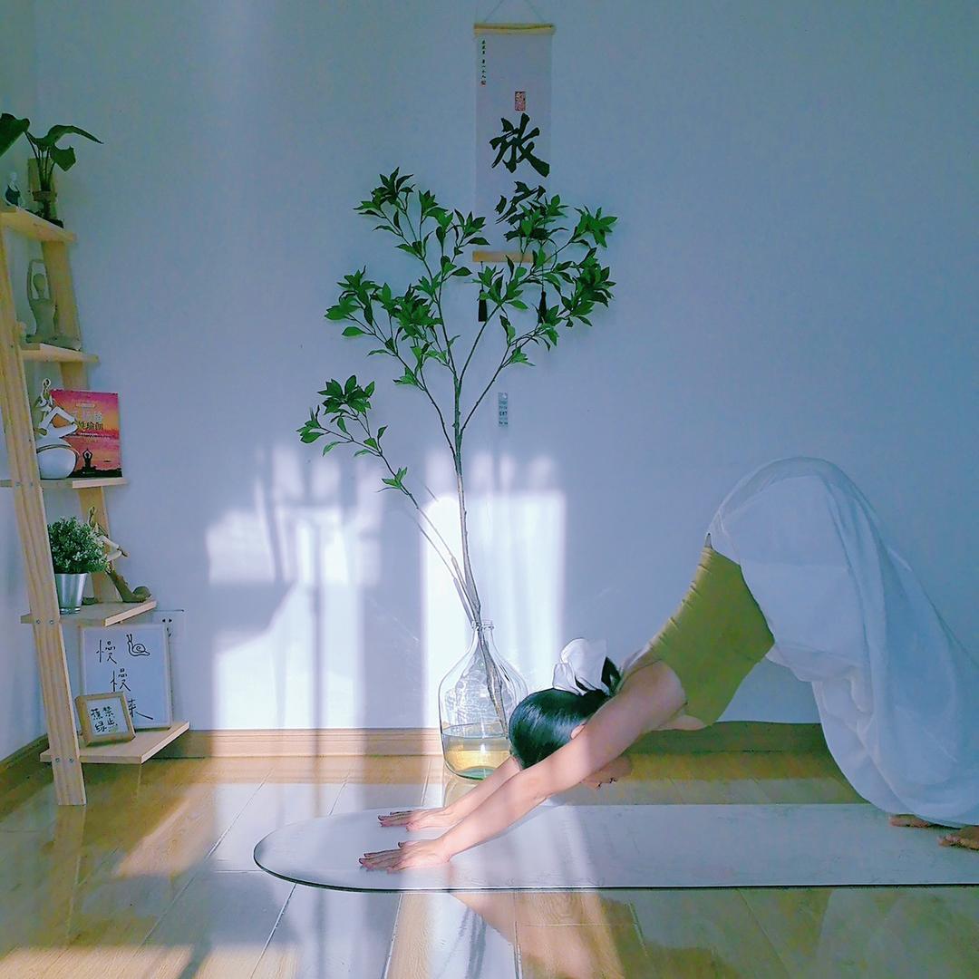 每日耳文瑜伽普拉提沈阳市沈河区