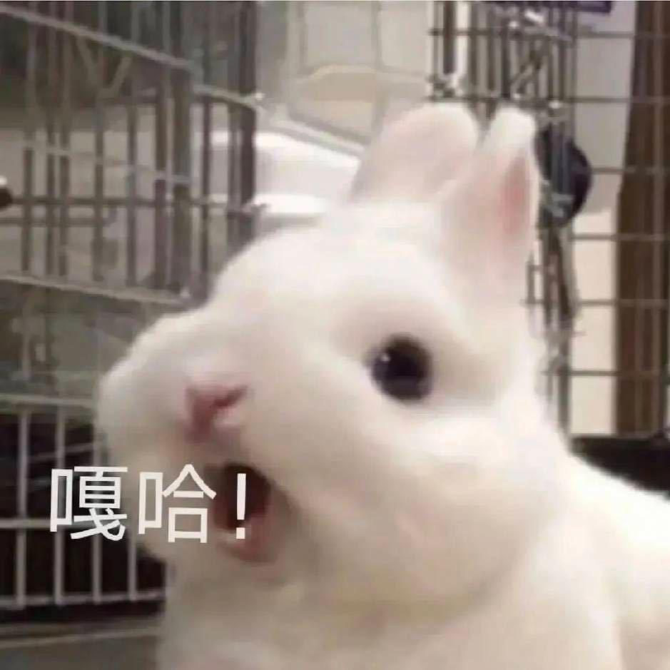 你好米饭添满