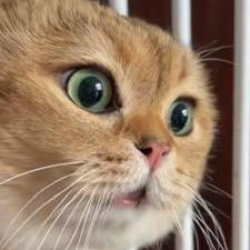 千影无归（爆击卡再爱我一次