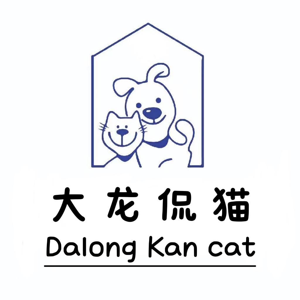 大龙宠物猫
