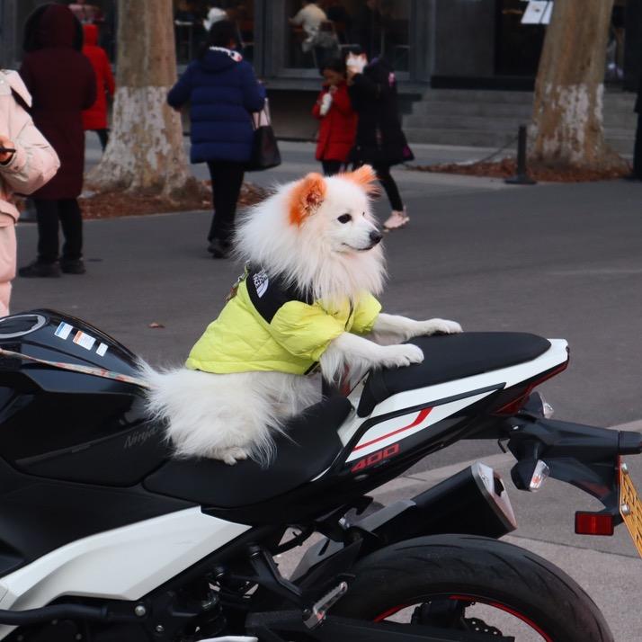 都给我趴下（每日视频推送～）