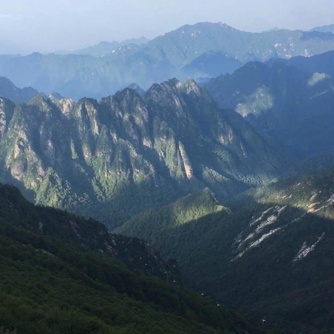 王总返乡