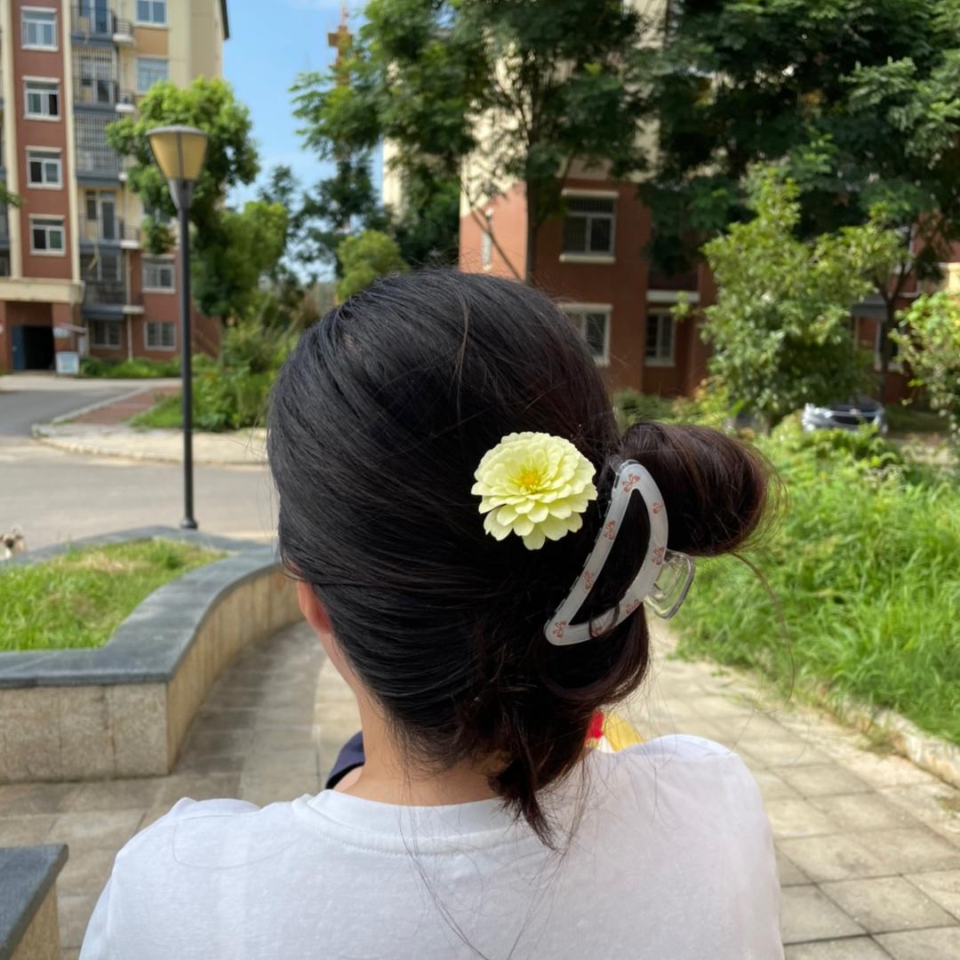 🌹菀菀