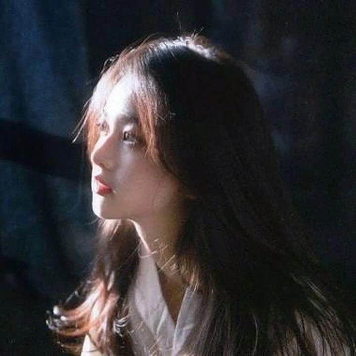 拆家珂珂（备婚版）