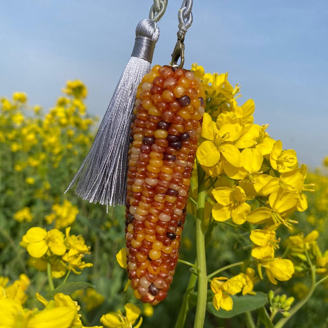 艺米阁文玩玉米