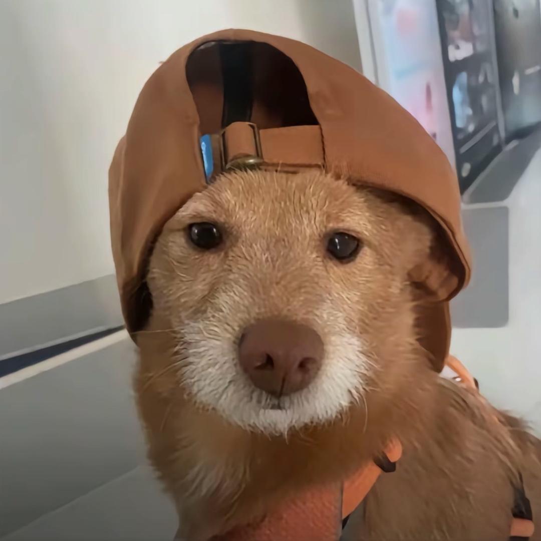 广州沐光私汤温泉度假公寓（金叶子店）