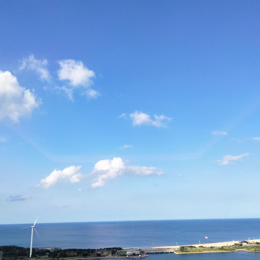 晶晶姐🌈🌈