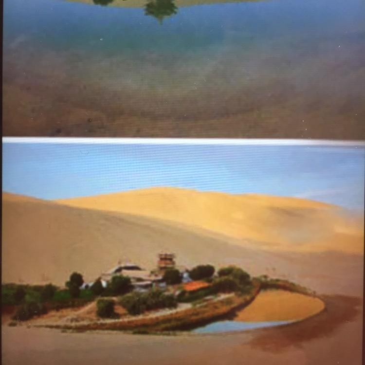 沙漠🏜️