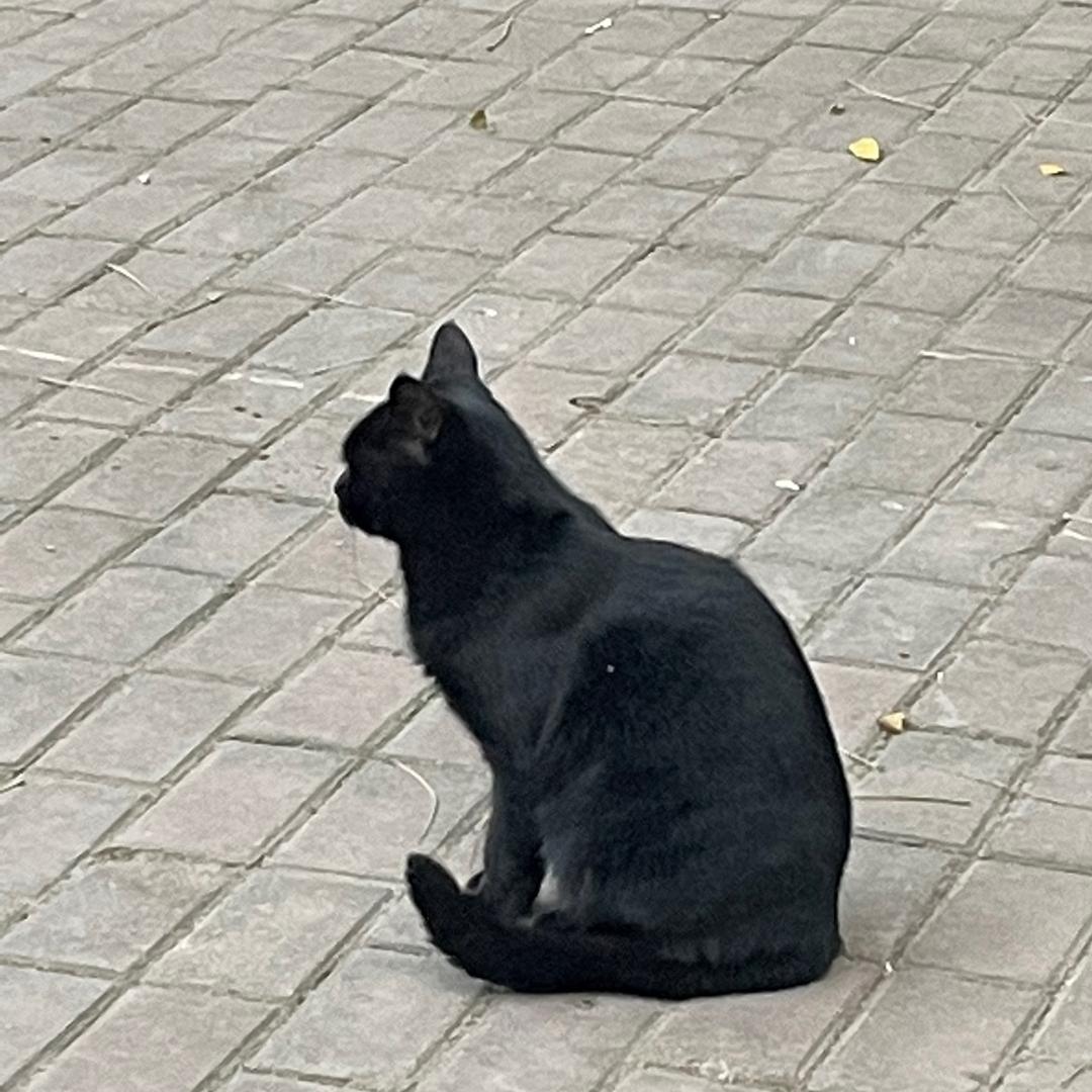 盘就完了