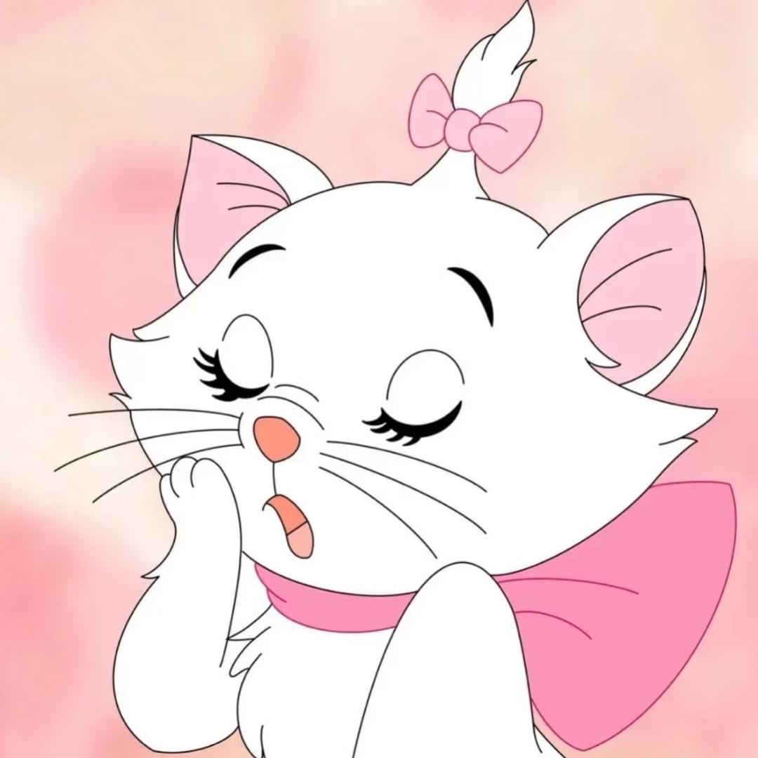 小猫困告了